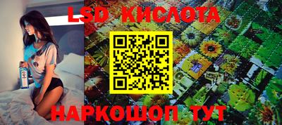 Альфа ПВП Краснодар