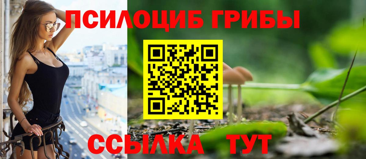 Псилоцибиновые грибы мицелий Коломна